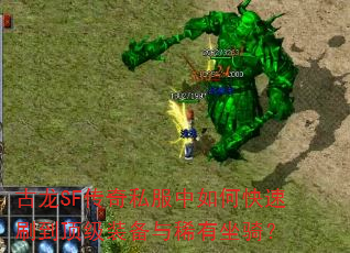 古龙SF传奇私服中如何快速刷到顶级装备与稀有坐骑? 古龙SF传奇私服中如何快速刷到顶级装备与稀有坐骑?