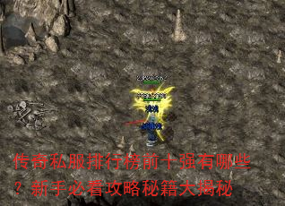 传奇私服排行榜前十强有哪些?新手必看攻略秘籍大揭秘 传奇私服排行榜前十强有哪些?新手必看攻略秘籍大揭秘