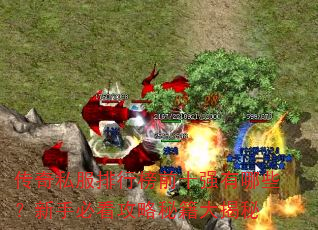 传奇私服排行榜前十强有哪些?新手必看攻略秘籍大揭秘 传奇私服排行榜前十强有哪些?新手必看攻略秘籍大揭秘