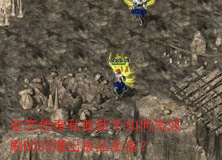 ��̬����˽��������θ�ЧˢBOSS������Ʒװ����