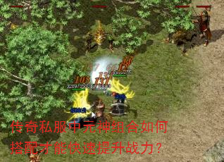 传奇私服中元神组合如何搭配才能快速提升战力? 传奇私服中元神组合如何搭配才能快速提升战力?