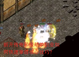 �¿�����˽���ٵ�ְҵ��ο������պ��ļ��ɣ�