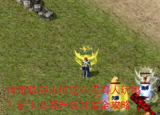 ����˽���������ڻ������������ֱؿ�������ȫ����