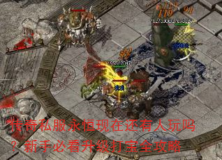 ����˽���������ڻ������������ֱؿ�������ȫ����