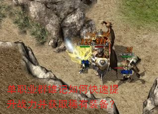 ��ְҵȺ�ۼ���ο�������ս������ȡϡ��װ����