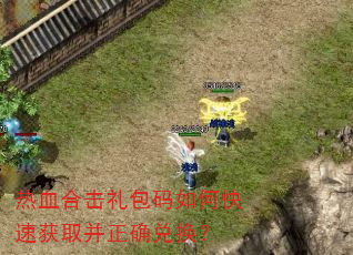 ��Ѫ�ϻ��������ο��ٻ�ȡ����ȷ�һ���