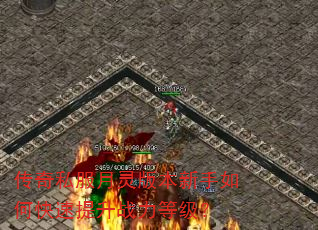 ����˽������汾������ο�������ս���ȼ���