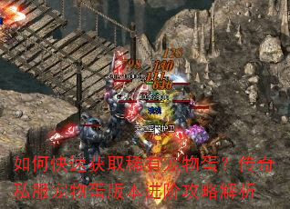 如何快速获取稀有宠物蛋?传奇私服宠物蛋版本进阶攻略解析 如何快速获取稀有宠物蛋?传奇私服宠物蛋版本进阶攻略解析