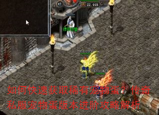 如何快速获取稀有宠物蛋?传奇私服宠物蛋版本进阶攻略解析 如何快速获取稀有宠物蛋?传奇私服宠物蛋版本进阶攻略解析