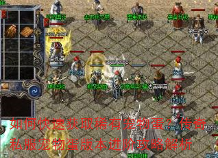 ��ο��ٻ�ȡϡ�г��ﵰ������˽�����ﵰ�汾���׹��Խ���