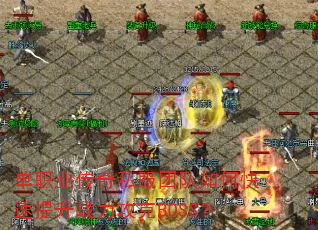 ��ְҵ����˽���Ŷ���ο�������ս������BOSS��