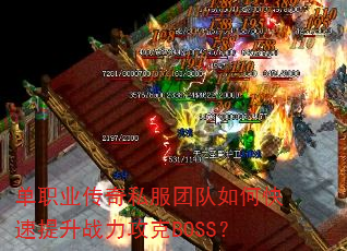 ��ְҵ����˽���Ŷ���ο�������ս������BOSS��