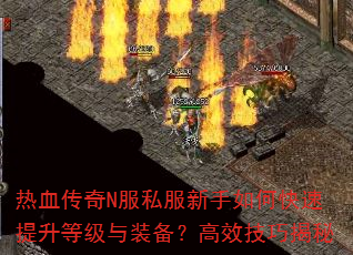 ��Ѫ����N��˽��������ο��������ȼ���װ������Ч���ɽ���