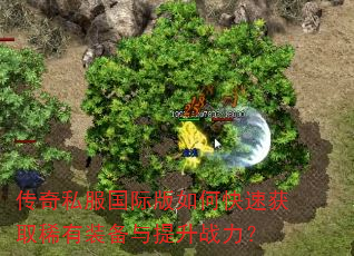 传奇私服国际版如何快速获取稀有装备与提升战力? 传奇私服国际版如何快速获取稀有装备与提升战力?