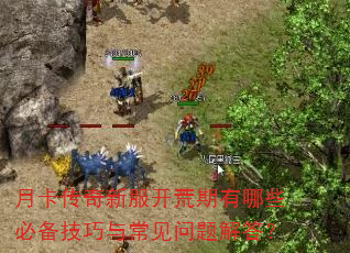 月卡传奇新服开荒期有哪些必备技巧与常见问题解答? 月卡传奇新服开荒期有哪些必备技巧与常见问题解答?