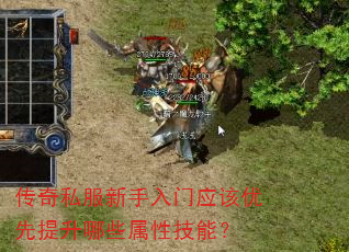 ����˽����������Ӧ������������Щ���Լ��ܣ�