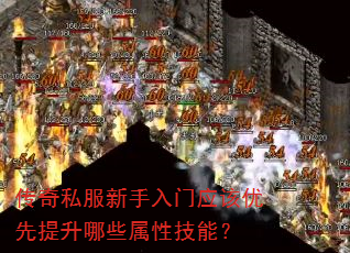 ����˽����������Ӧ������������Щ���Լ��ܣ�