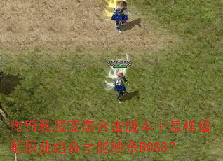 ����˽����̬�ϻ��汾����������ְҵ��ϲ�����ɱBOSS��