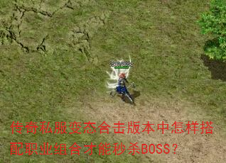 ����˽����̬�ϻ��汾����������ְҵ��ϲ�����ɱBOSS��