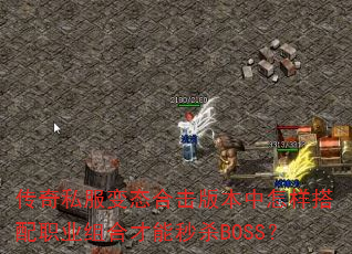 ����˽����̬�ϻ��汾����������ְҵ��ϲ�����ɱBOSS��