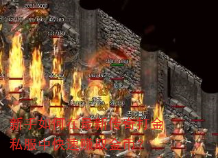 新手如何在最新传奇打金私服中快速赚取金币? 新手如何在最新传奇打金私服中快速赚取金币?