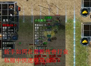 新手如何在最新传奇打金私服中快速赚取金币? 新手如何在最新传奇打金私服中快速赚取金币?