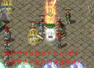 ���������ƽ��ƽ̨app������ҳ���������ο��ٽ����