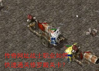 ������ַսʿְҵ��ο���ͨ�����޵�ؿ���