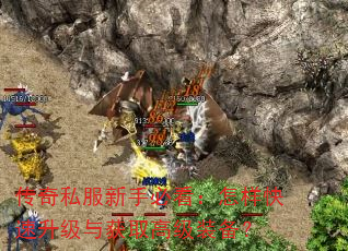 传奇私服新手必看:怎样快速升级与获取高级装备? 传奇私服新手必看:怎样快速升级与获取高级装备?