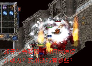 �¿�����˽��IP��ο�������ս����ʵ�ü�������Щ��