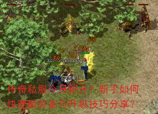 ����˽�������¿���������ο���ˢװ�����������ɷ�����