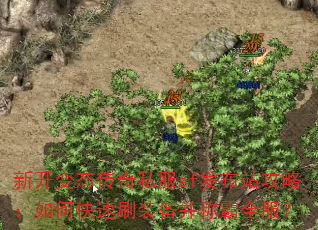 �¿���̬����˽��sf����վ���ԣ���ο���ˢװ�����ư�ȫ����