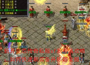 �¿���̬����˽��sf����վ���ԣ���ο���ˢװ�����ư�ȫ����