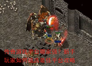 ������Ϸƽ̨�ļ�ǿ��������������ѡ���ƽ̨����