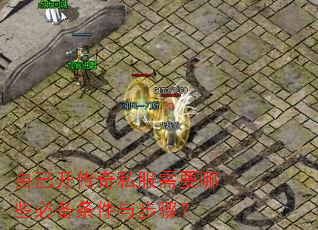 �Լ�������˽����Ҫ��Щ�ر������벽�裿