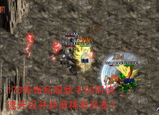 178����˽��������ο�����������ȡϡ��װ����