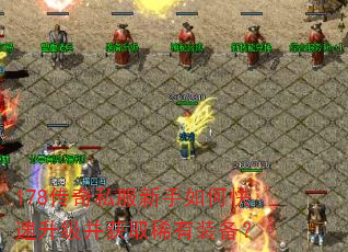 178����˽��������ο�����������ȡϡ��װ����