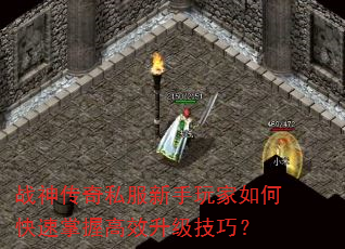 ս����˽�����������ο������ո�Ч�������ɣ�