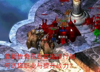 ���´���˽���׷��������ѡ��ְҵ������ս����