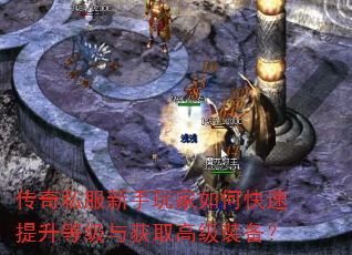 ����˽�����������ο��������ȼ����ȡ�߼�װ����