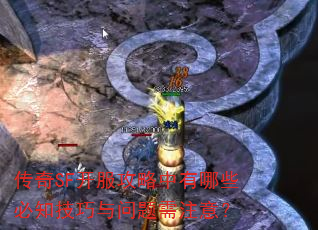 ����SF��������������Щ��֪������������ע�⣿