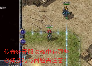 ����SF��������������Щ��֪������������ע�⣿