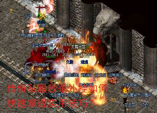 ����˽����ɱ�����ο�������ʵ�ü��ɣ�