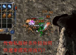 ����˽����ɱ�����ο�������ʵ�ü��ɣ�