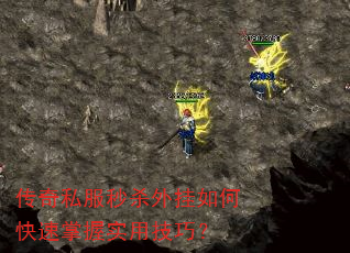 ����˽����ɱ�����ο�������ʵ�ü��ɣ�