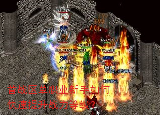 ��ս����ְҵ������ο�������ս���ȼ���