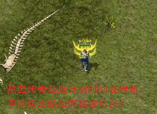 热血传奇私服开服时间表与新手冲级攻略如何高效结合? 热血传奇私服开服时间表与新手冲级攻略如何高效结合?