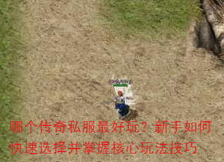 �ĸ�����˽������棿������ο���ѡ�����պ����淨����