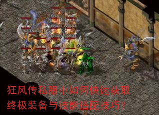 ��紫˽������ο��ٻ�ȡ�ռ�װ���뼼�ܴ��似�ɣ�