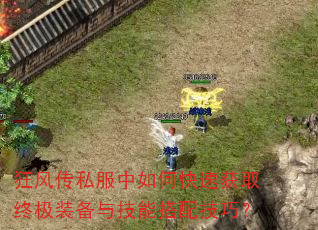 ��紫˽������ο��ٻ�ȡ�ռ�װ���뼼�ܴ��似�ɣ�